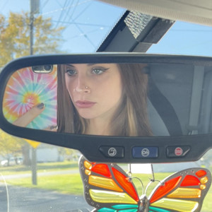 Profile preview