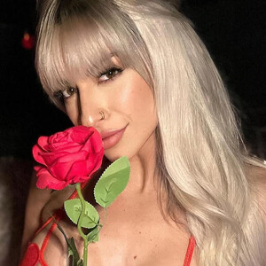 Profile preview